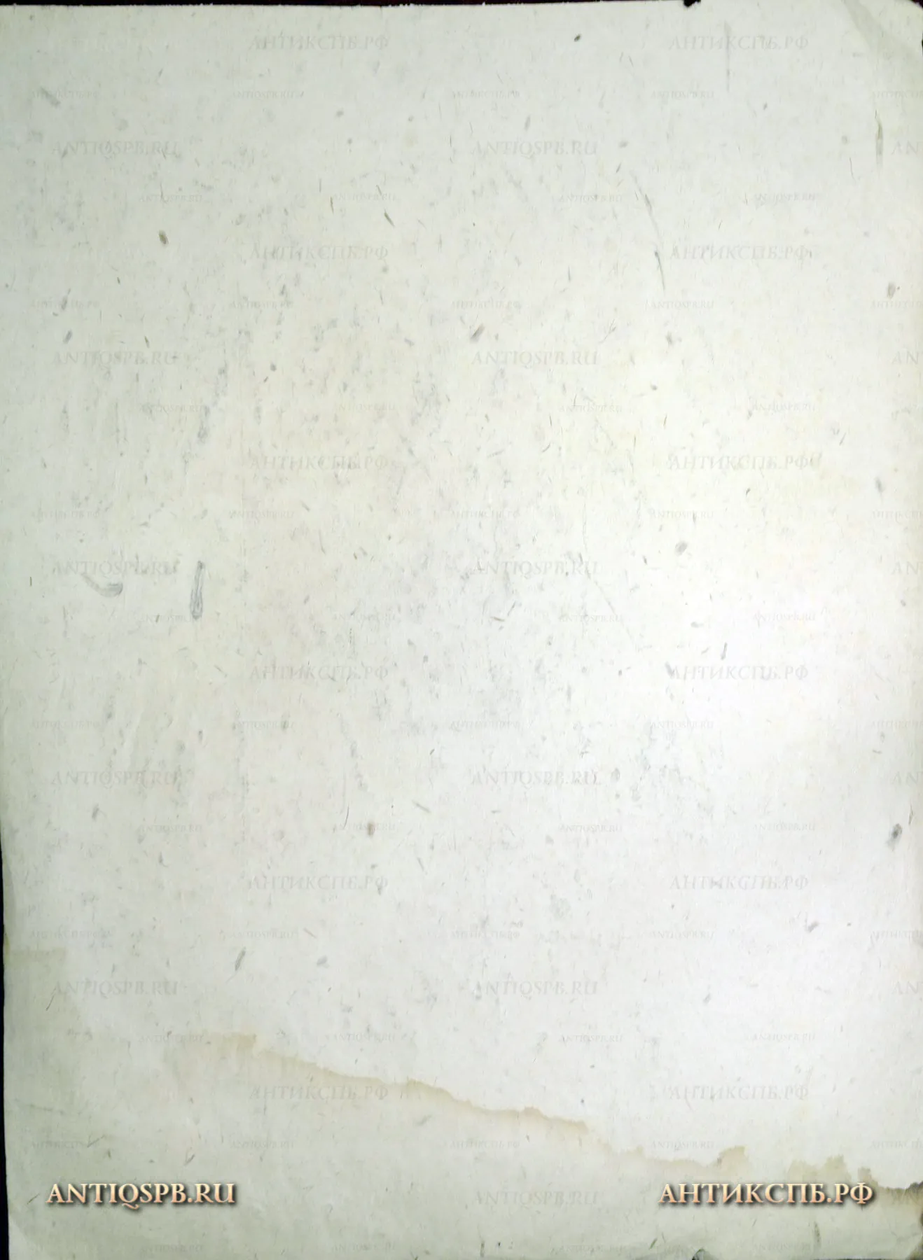 Рисунок "Женский портрет". №17339.10